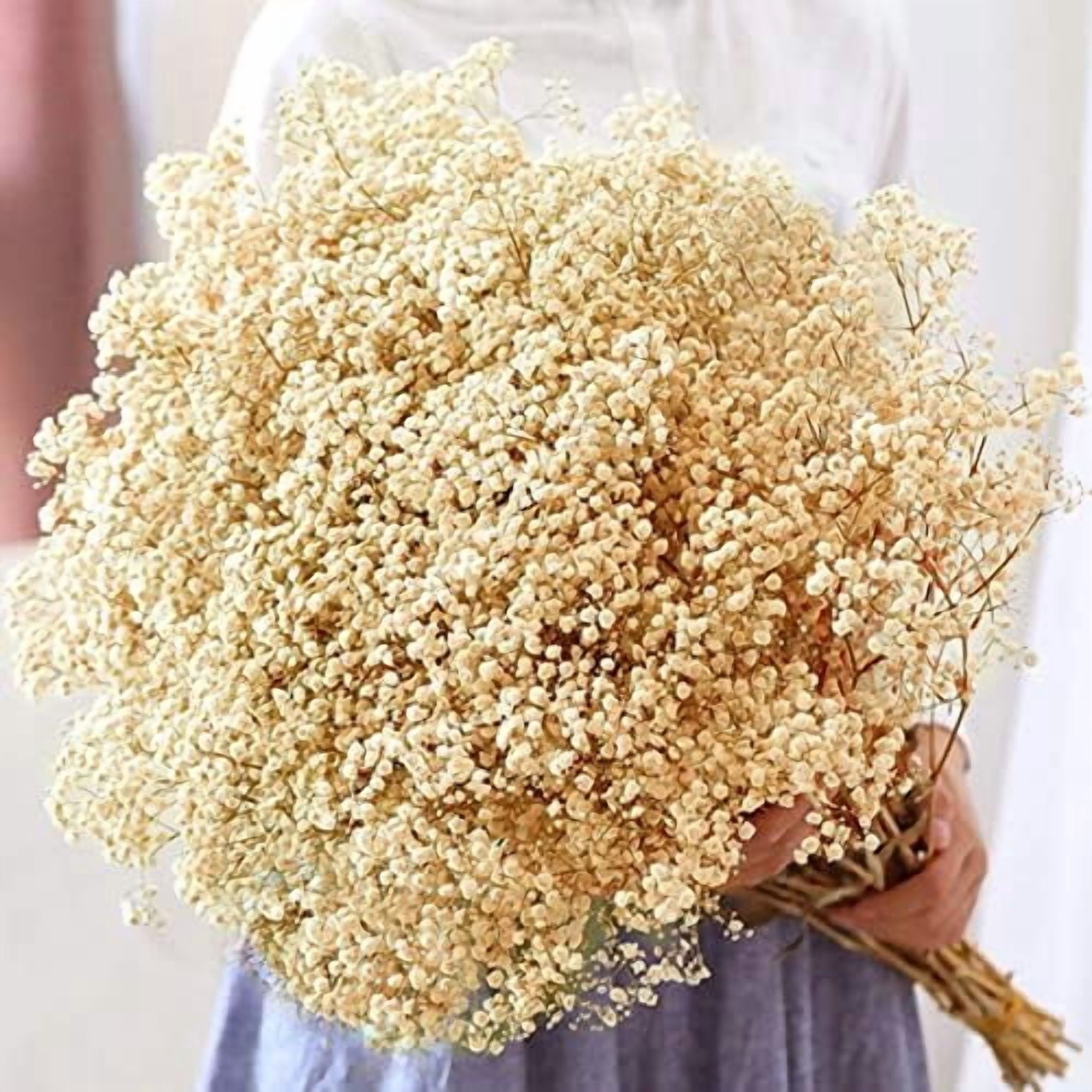 8000+ Dried Babys Breath Bouquet-17.2 inch Dried Flowers, Natural Gypsophila Branches for Home Decor, Wedding, Table Decor, DIY Wreath Floral, Dry Flowers Bulk for Vase (Ivory White max)