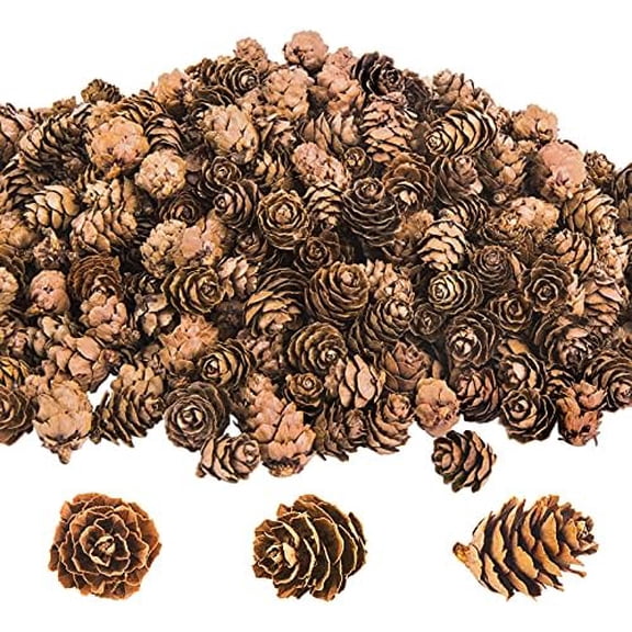 800PCS Christmas Natural Mini Pine Cones-Thanksgiving Pinecones Ornaments-Fall Small Pinecones Vase Fillers for DIY Crafts, Fall, Christmas,Wedding Decor
