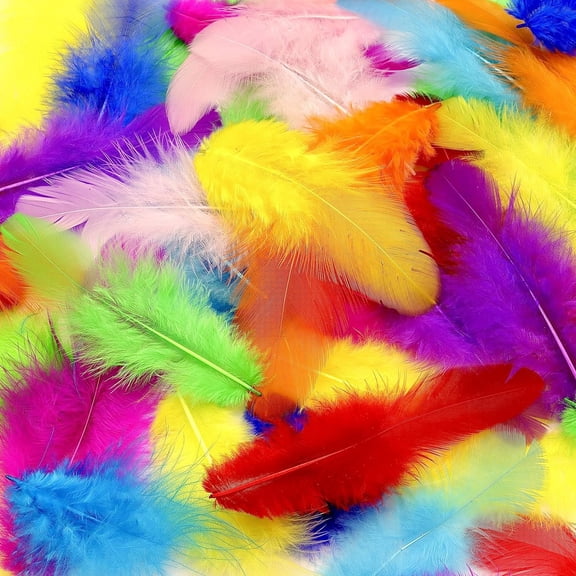 800Pcs Colorful Craft Rooster Feathers 3-5-inch Bulk Feathers for Crafting Kindergarten DIY Crafts, Wedding, Family Party Decorations, Dream Catcher Supplies, Natural Feathers