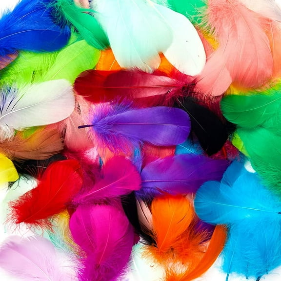 800pcs Colorful Feathers 20 Colors Craft Feathers 3-5 Inches Assorted Rainbow Colors Feathers for Kids Handmade Wedding DIY Decorations Natural Feather