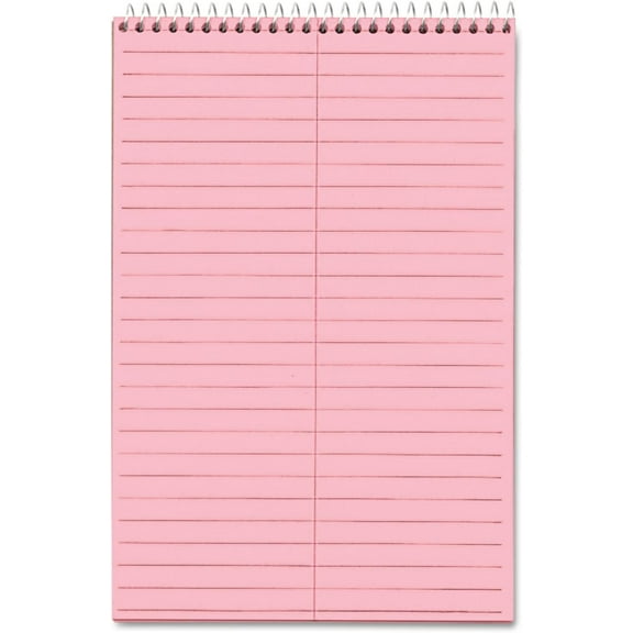 80254 Steno Book, Gregg Ruled, 80 Sheets/PD, 6-Inch x9-Inch, 4/PK,