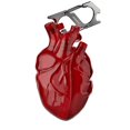 thumbnail image 1 of Unbranded Multiple Wireless Earphones Heart Drop-Proof Case with Carabiner, Red, 1 of 8