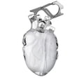 thumbnail image 1 of 808fc Multiple Wireless Earphones Heart Drop-Proof Case with Carabiner, Multi-color, 1 of 6