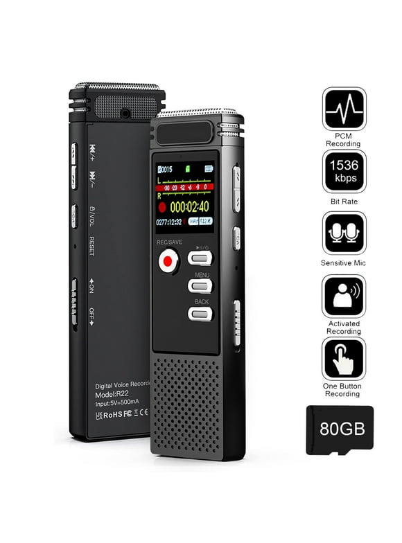 Voice Recorders in Portable Audio