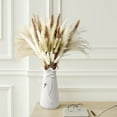 thumbnail image 1 of 80PCS Natural Pampas Grass Bouquet | Boho & Western Wedding Decor Flowers Dried Pampas Grass Decor for Elegant Floral Arrangements, Home & Table Decorations A, 1 of 9