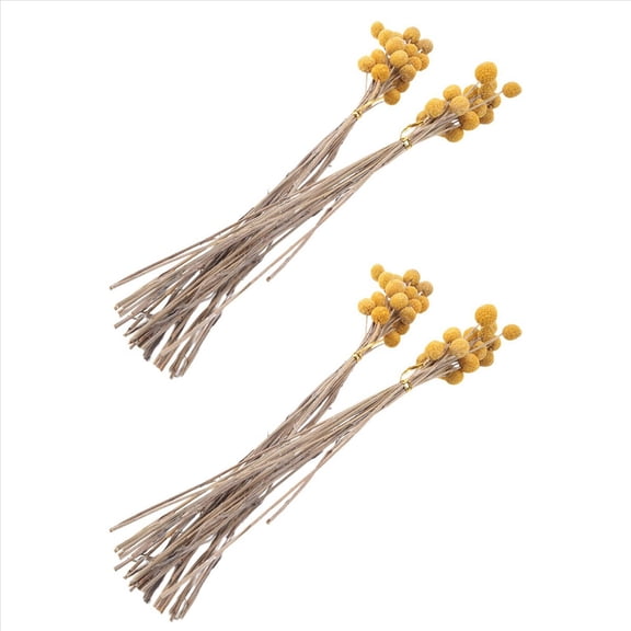 80Pcs Dried Craspedia Flowers Dried Button Balls Flowers,Dried Flower Bouquet for Arrangements Wedding Home Decor,2 set x dry vegetation,Yellow