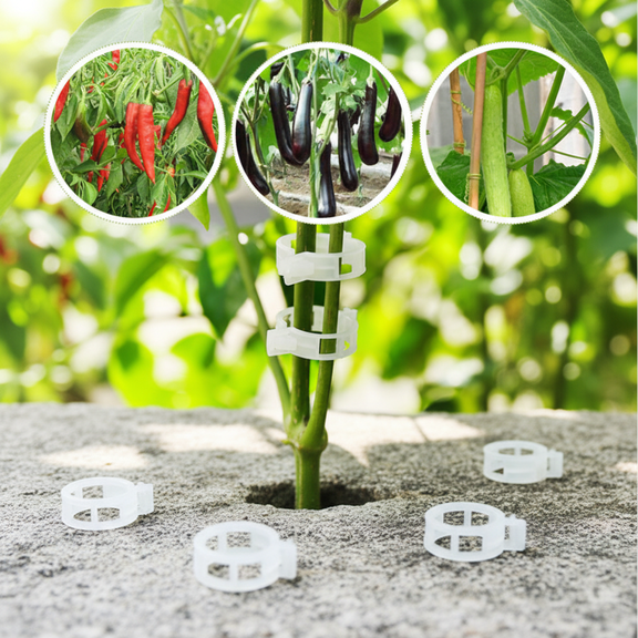80Pcs Plant Support Clips Garden Flower Vegetable Binder Tomato Vine Clips for Trellis Wire Greenhouse Vertical Growing Clear