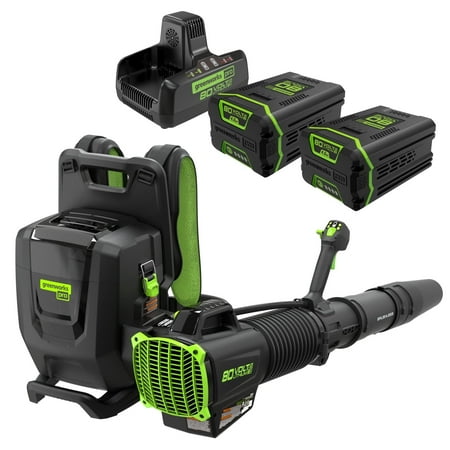 80V 690 CFM Cordless Battery Dual-Port Backpack Blower w/ Two 2 4.0 Ah Batteries & Dual Port Rapid Charger