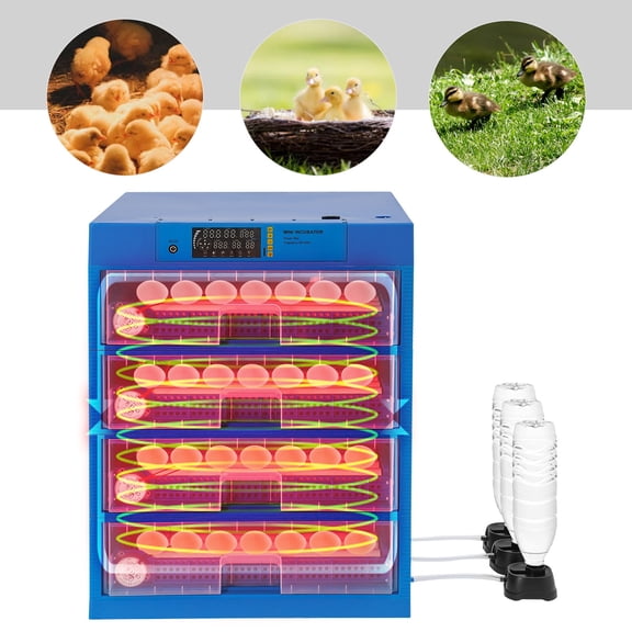 80W 110V Digital Poultry Hatcher Machine Automatic Adjustable General Purpose Incubator for Hatching Eggs Duck Eggs