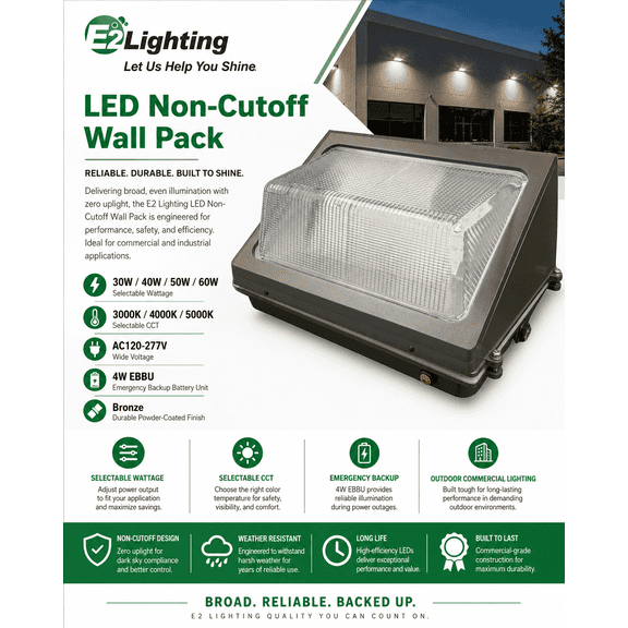 E2 Lighting LED Wall Pack Light, 80W, Bronze, 4-Pack