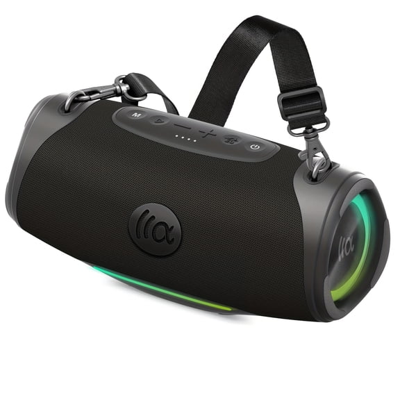 80W Portable Speaker