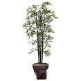 thumbnail image 1 of 81.5 in. Bamboo Tree with Planter, 1 of 6