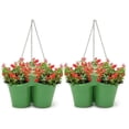 thumbnail image 1 of 8117E AG S-2 Enameled Galvanized Triple Hanging Planter - Set of 2, 1 of 1