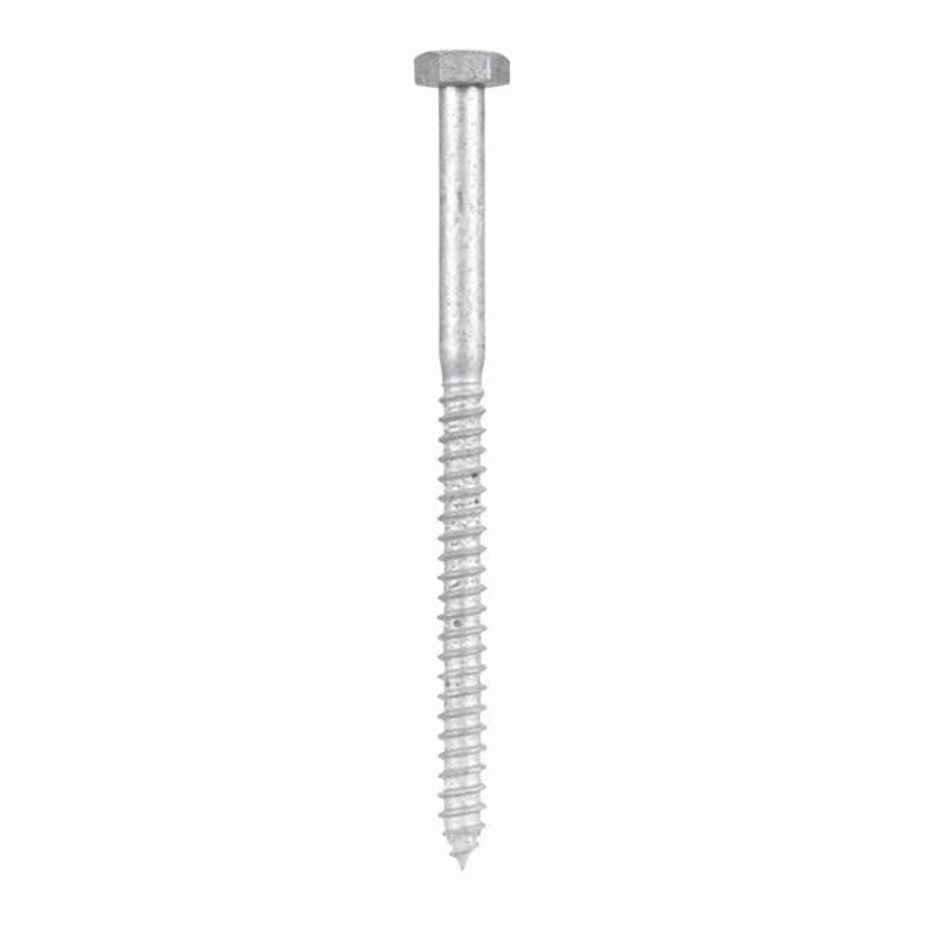 812021 0.25 x 4 in. Galvanized Hex Head Lag Bolt