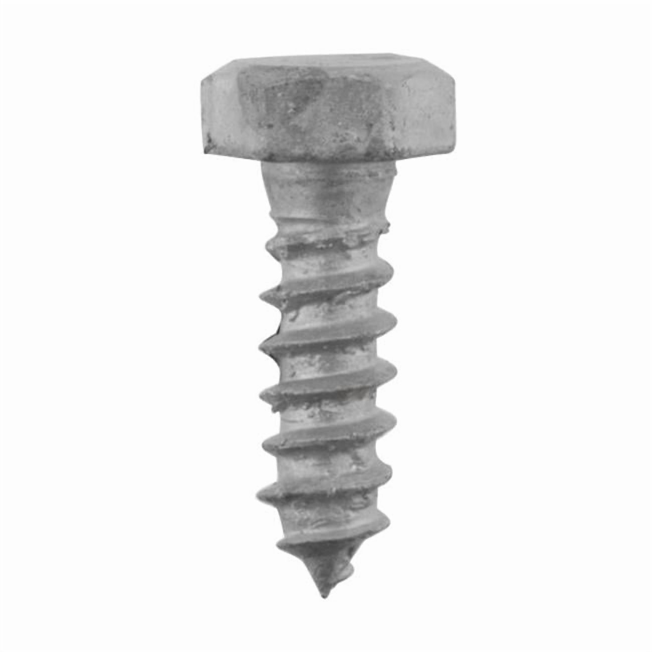812030 0.312 x 1 in. Galvanized Hex Head Lag Bolt
