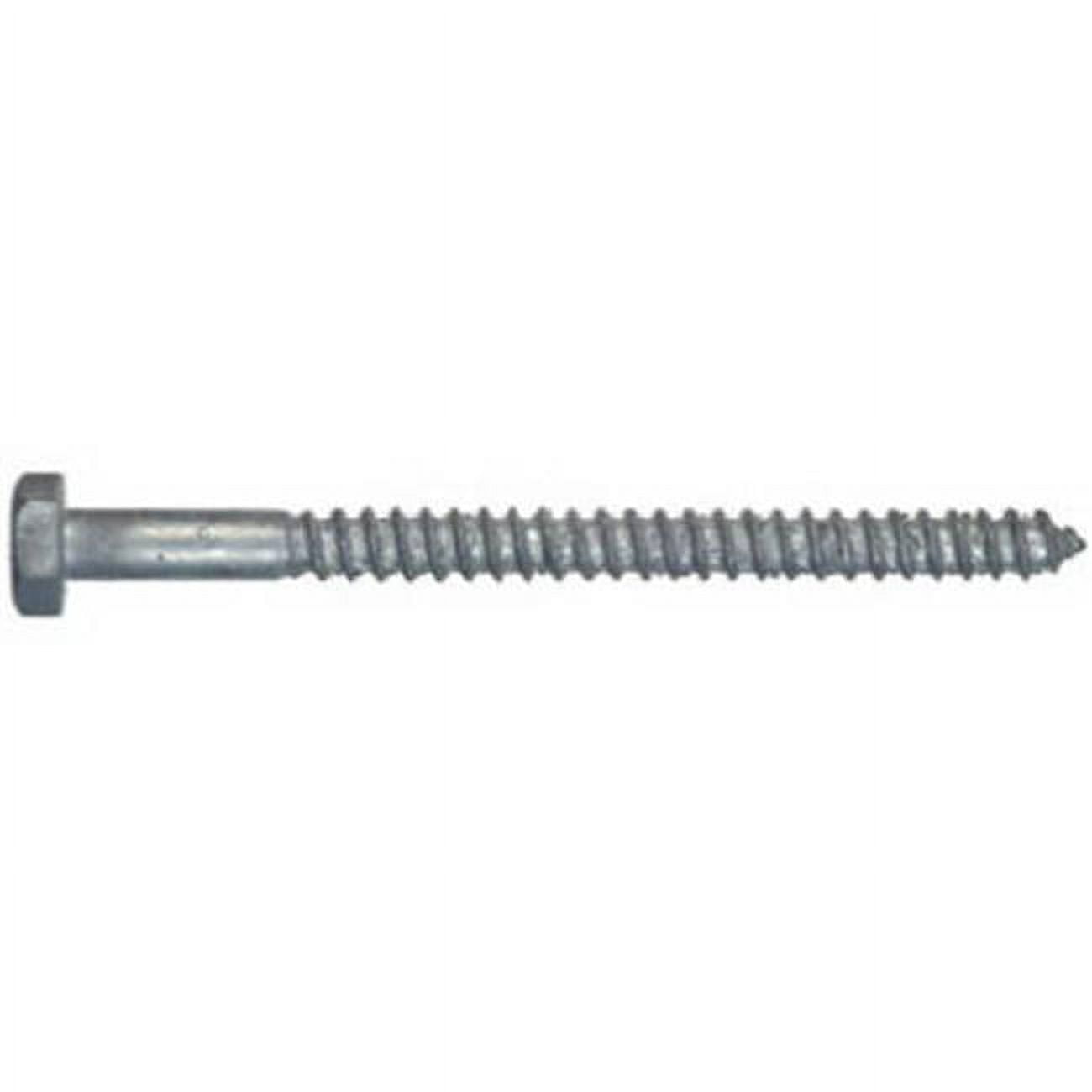 812048 50 Pack- 0.31 x 4 in. Hex Head Lag Bolt