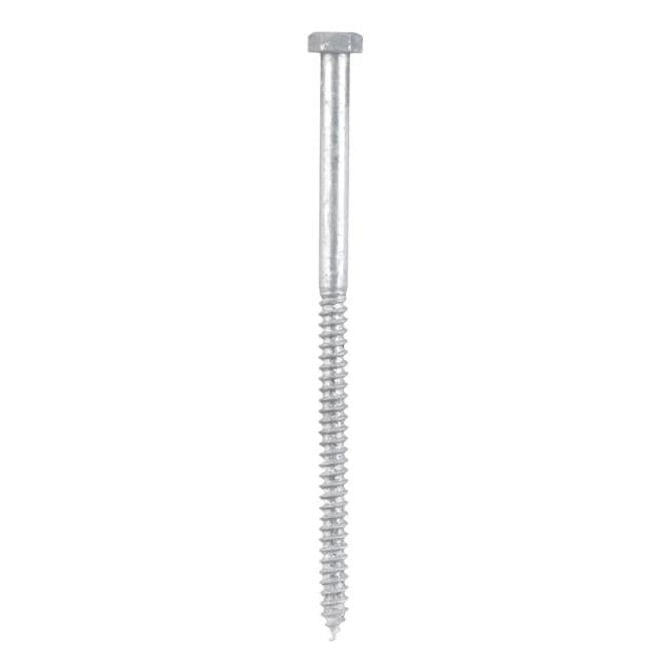 812053 0.312 x 6 in. Galvanized Hex Head Lag Bolt