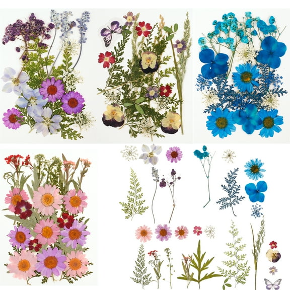 81Pcs Pressed Dried Flowers Set Real Natural Plant Pressed Flower Leaves DIY Mixed Multi-color Pressed Flower Kit Multipurpose Dried Flower Leaves Kit for Crafts Scrapbook Jewelry Making