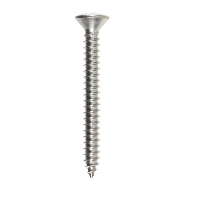 100 Viti Autofilettanti Phillips Testa Ovale Acciaio Inox 316 #6 X 3/8 - Fastenere