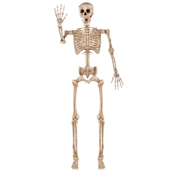 83-Inch Halloween Life-Size Posable Skeleton Bones with Moveable Joints Brown
