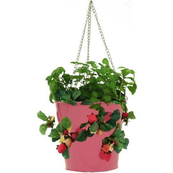 8396E-HPK S-2 Enameled Galvanized Steel Strawberry, Herb & Floral Hanging Planter, Hot Pink - Set of 2
