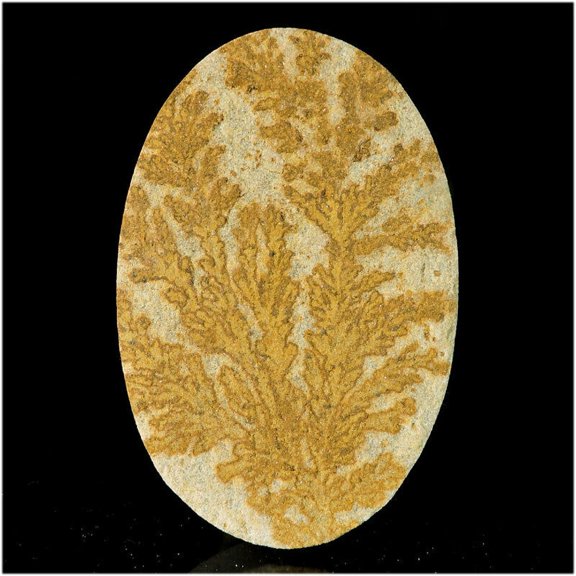 84.15Cts Delighting Natural Brown Dendritic Opal Oval Cabochon AAA Gemstone