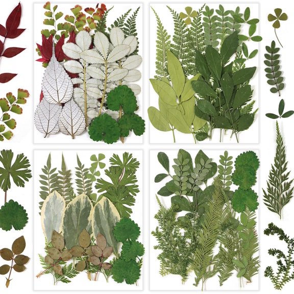 84 Pcs Dried Pressed Leaves Flowers Real Natural Dried Leaves Plant Kit Assorted Dried Greenery for Resin Art DIY Crafts Party Decorations Bookmarks Scrapbooking Candle Soap Making, 20 Types