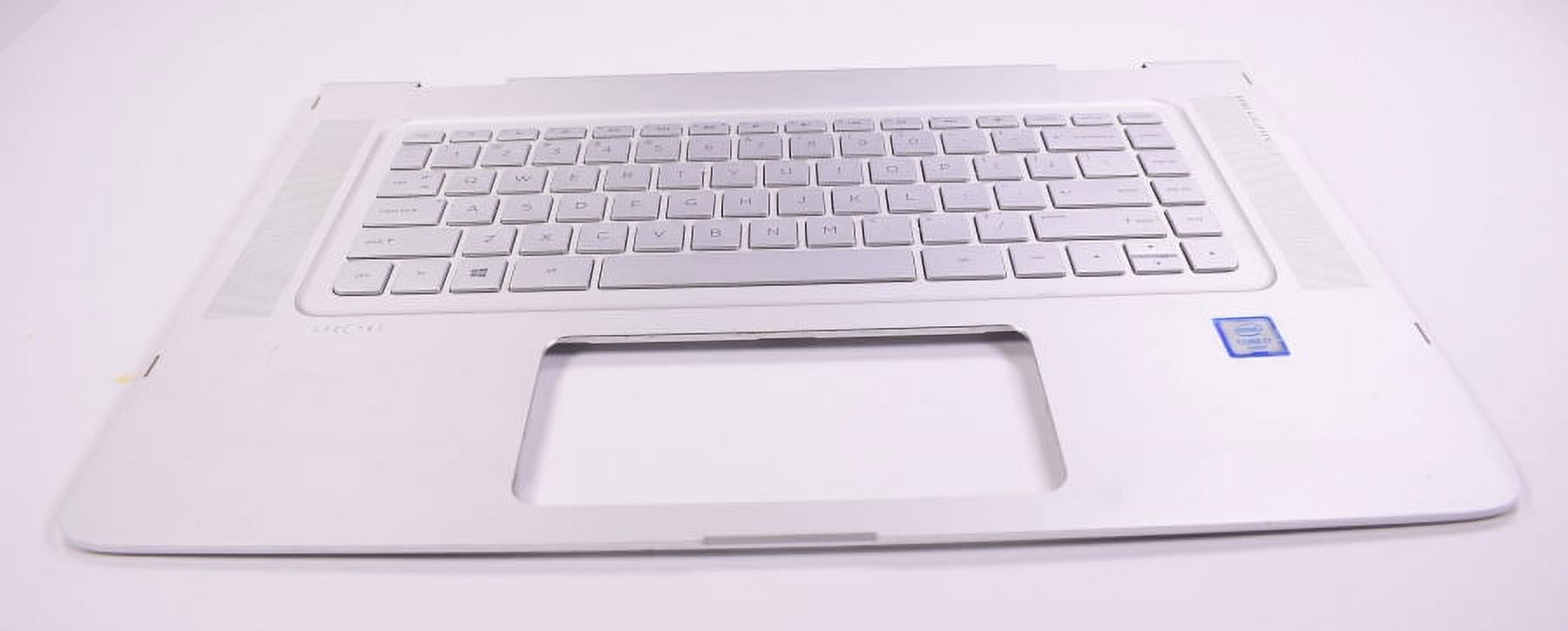 Gruppo del poggiapolsi Dell con trackpad | Dell Italia