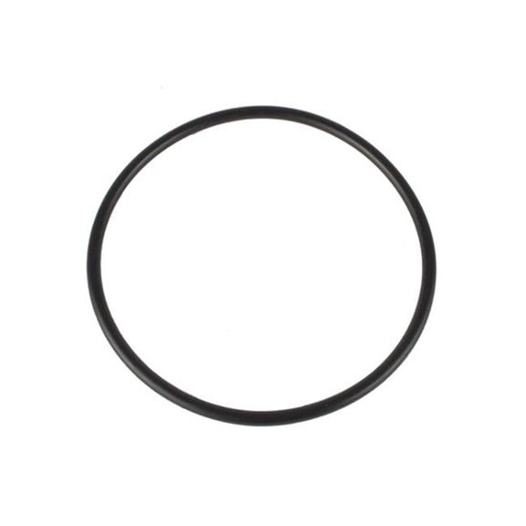 8430 Oil Seal O-Ring, Inner 4045 Wide 5 Hub 007