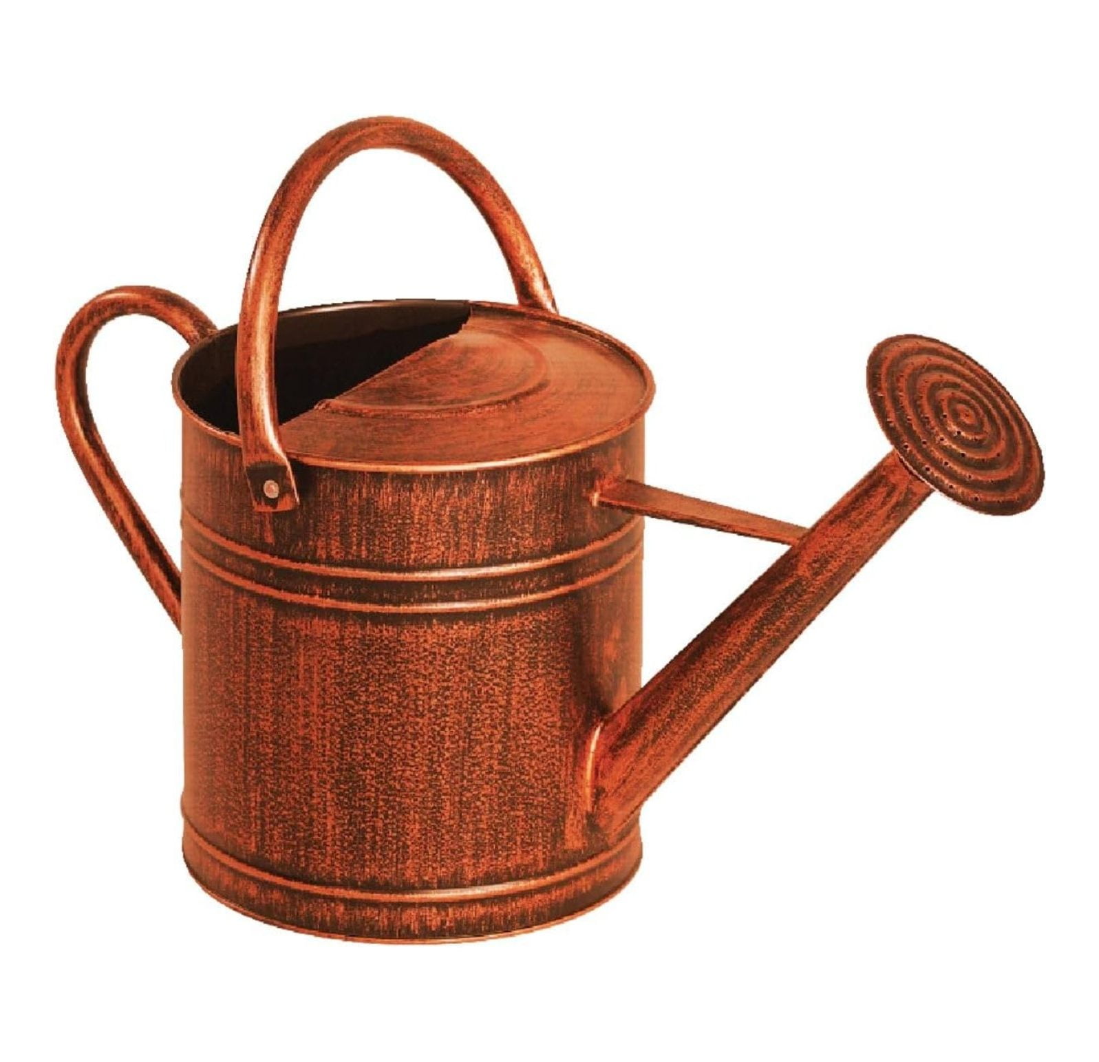 84872 2 Gallon Brushed Bronze Watering Can