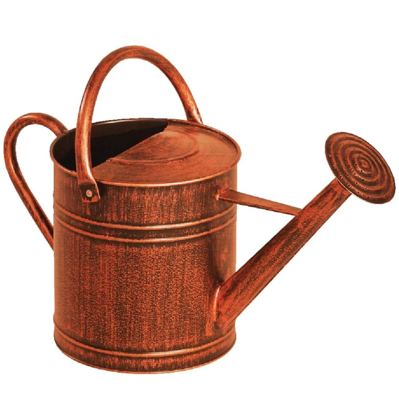 84872 2 Gallon Brushed Bronze Watering Can