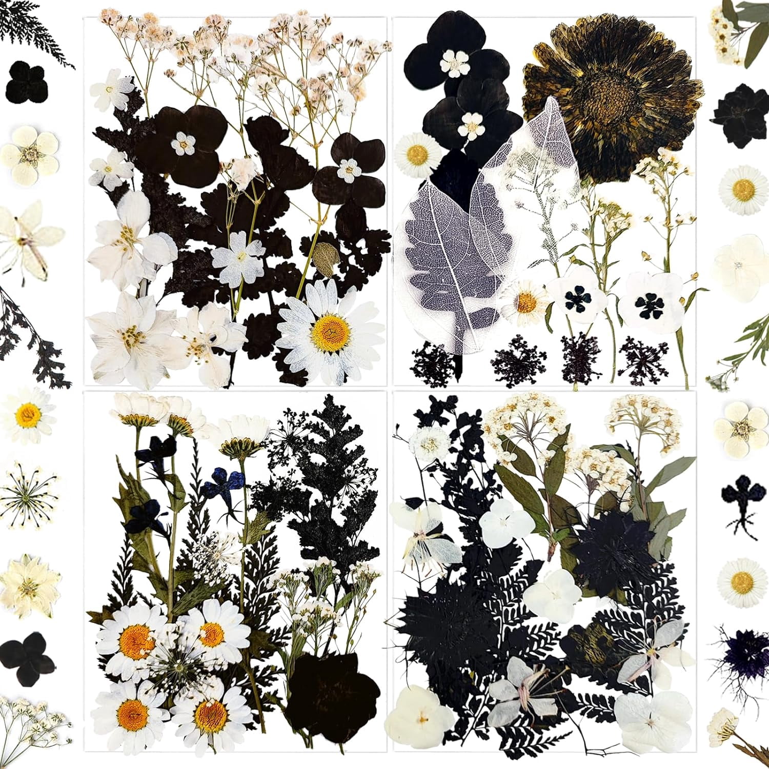 84Pcs Black Dried Pressed Flowers for Resin Molds, Bulk Real Natural ...