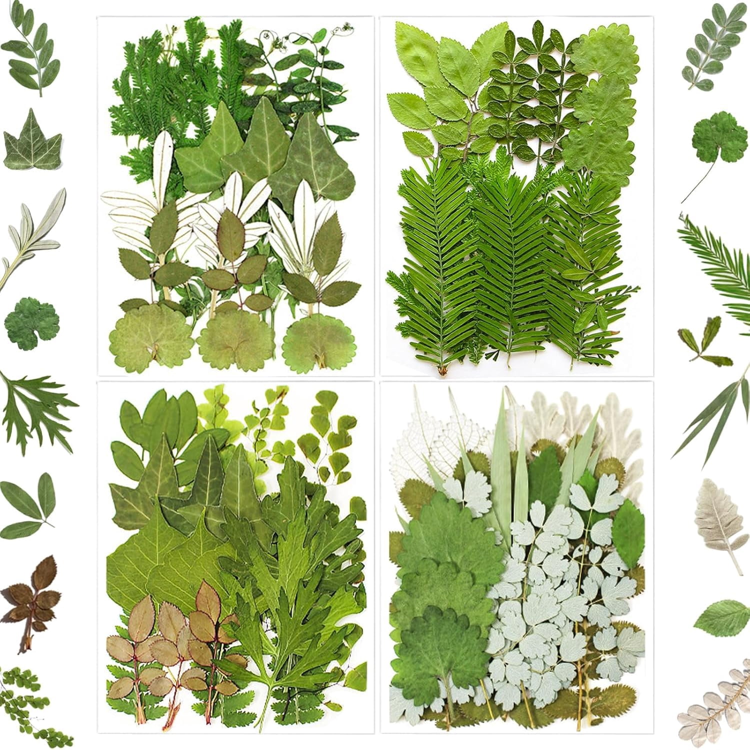 84Pcs Pressed Dried Leaves for Resin Molds, Assorted Real Natural Bulk Dry Flowers for DIY Art Crafts, Epoxy Jewelry, Candle, Soap Making, Nails Decors Gifts
