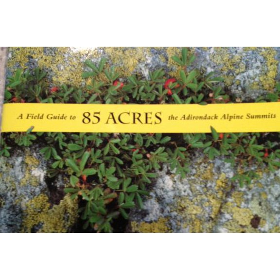Pre-Owned 85 Acres : A Field Guide to the Adirondack Alpine Summits (Paperback) 9780935272680