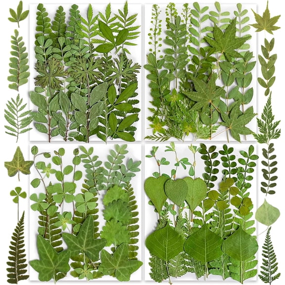 85PCS Real Dried Pressed Leaf Leaves, Green Nature Plant Herbarium Set for DIY Jewelry Candle Soap Vase Making Nail Card Scrapbook Art Craft Floral Decors,28 Styles Green Mixed
