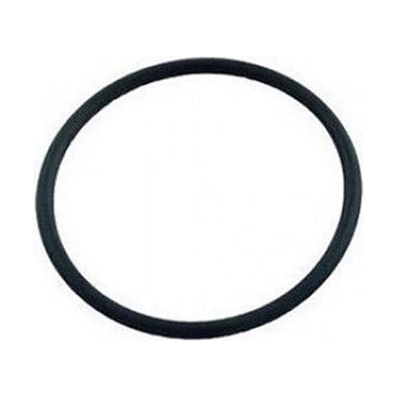 Pentair 86006900 C.C./FNS Bulkhead O-Ring