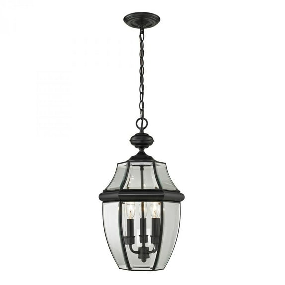 8603EH/60-Elk Home-Ashford - Three Light Large Outdoor Hanging Lantern-Black Finish