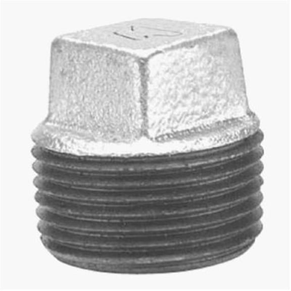 8700160008 1.25 in. Galvanized Square Head Plug