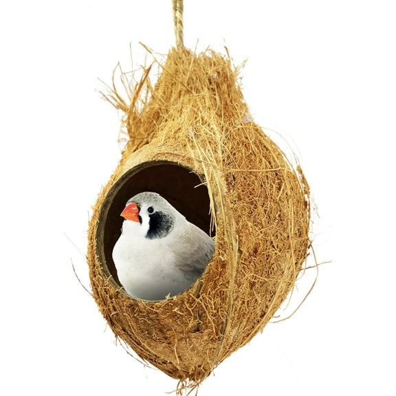 872 Coconut Hut Nesting Bird Toy