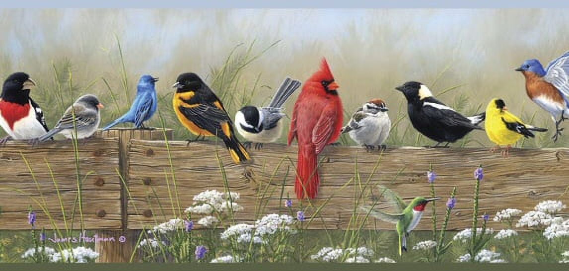 878344 Songbird Menagerie Wallpaper Border  PUR44671b