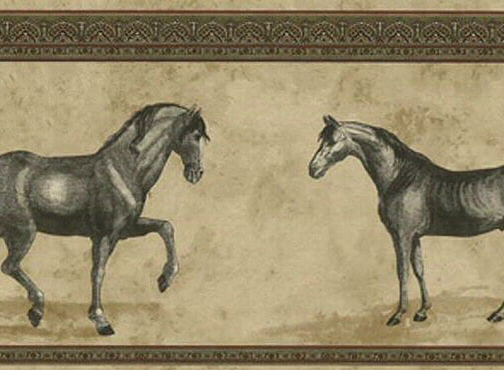 879208 Horses Wallpaper Border A654005b