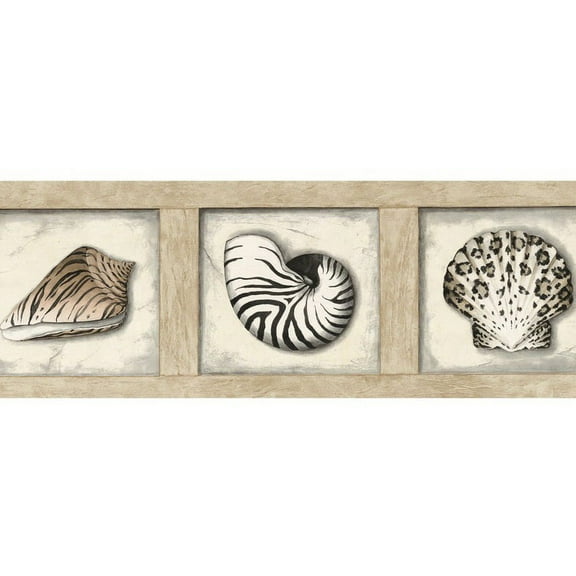 879359 Framed Seashells Wallpaper Border 51646220