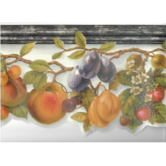 879724 Scalloped Fruit Wallpaper Border MN5040
