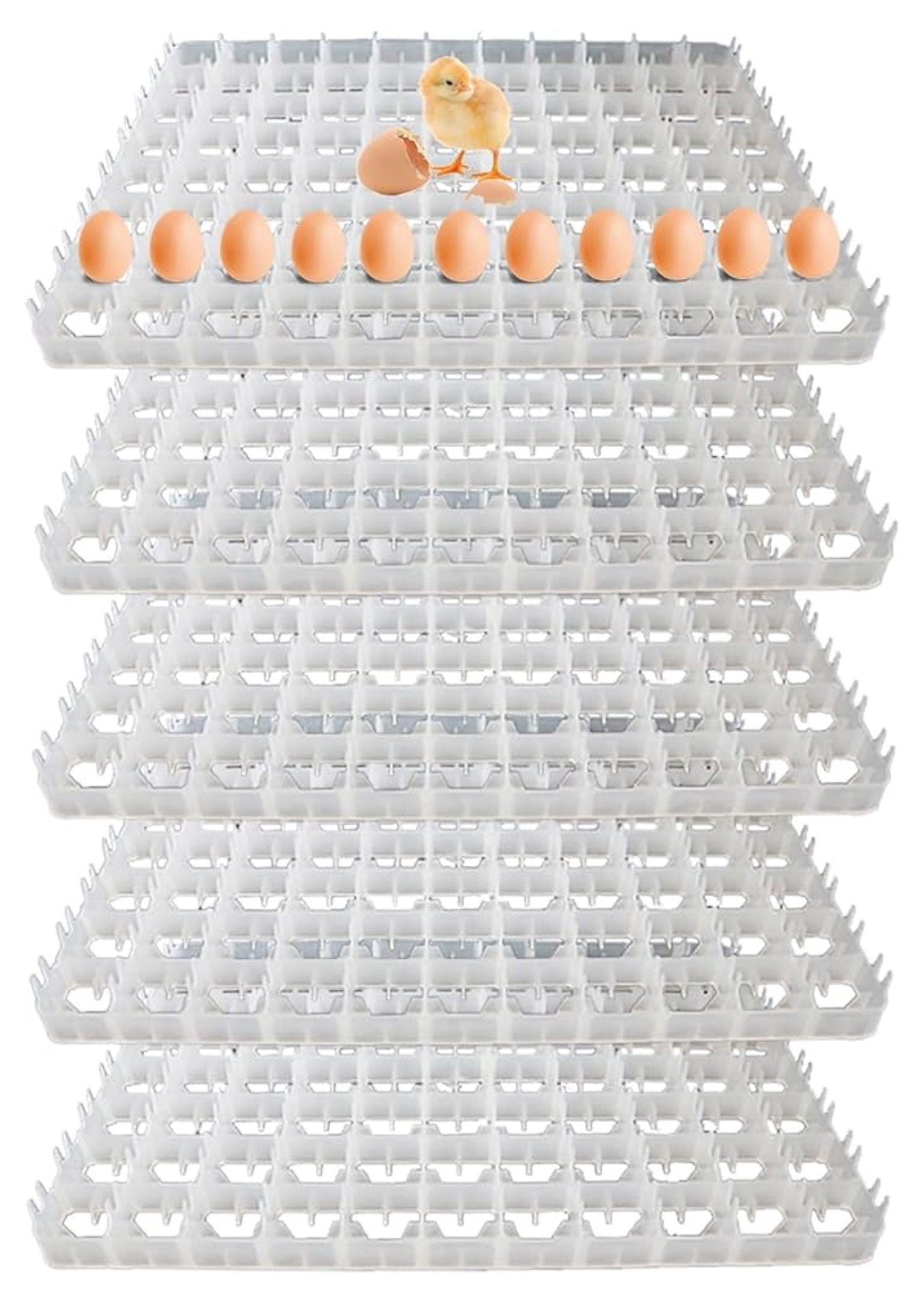 Storage Racks For Poultry 88 Grid Egg Tray 5-Pack - Chicken Egg Incubator Trays - Poultry ...