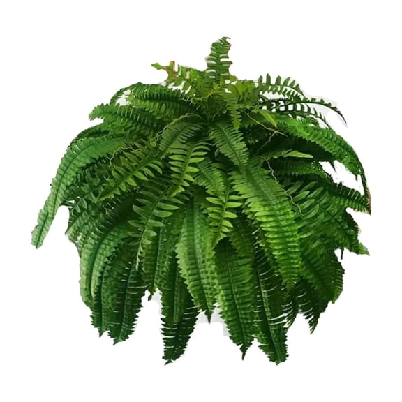 88 Leaves Artificial Boston Fern Plants, Realistic Fake Ferns With Fronds For Home Decor, Office Display, Patio Accent, Indoor Outdoor Use