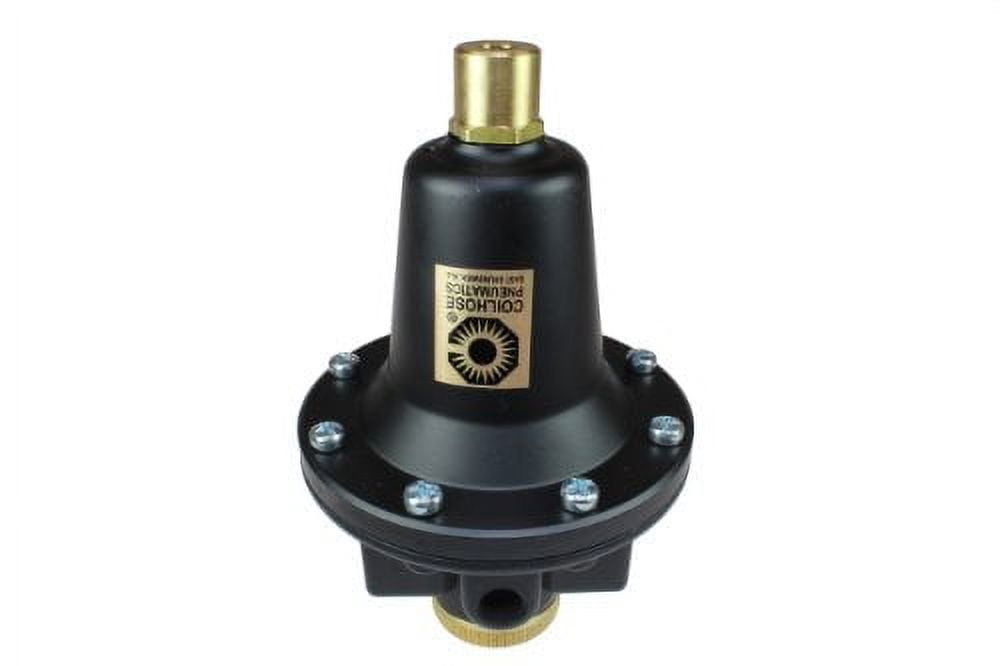 8802K Heavy Duty Series Regulator, 1/4-Inch Pipe Size, Tamperproof ...