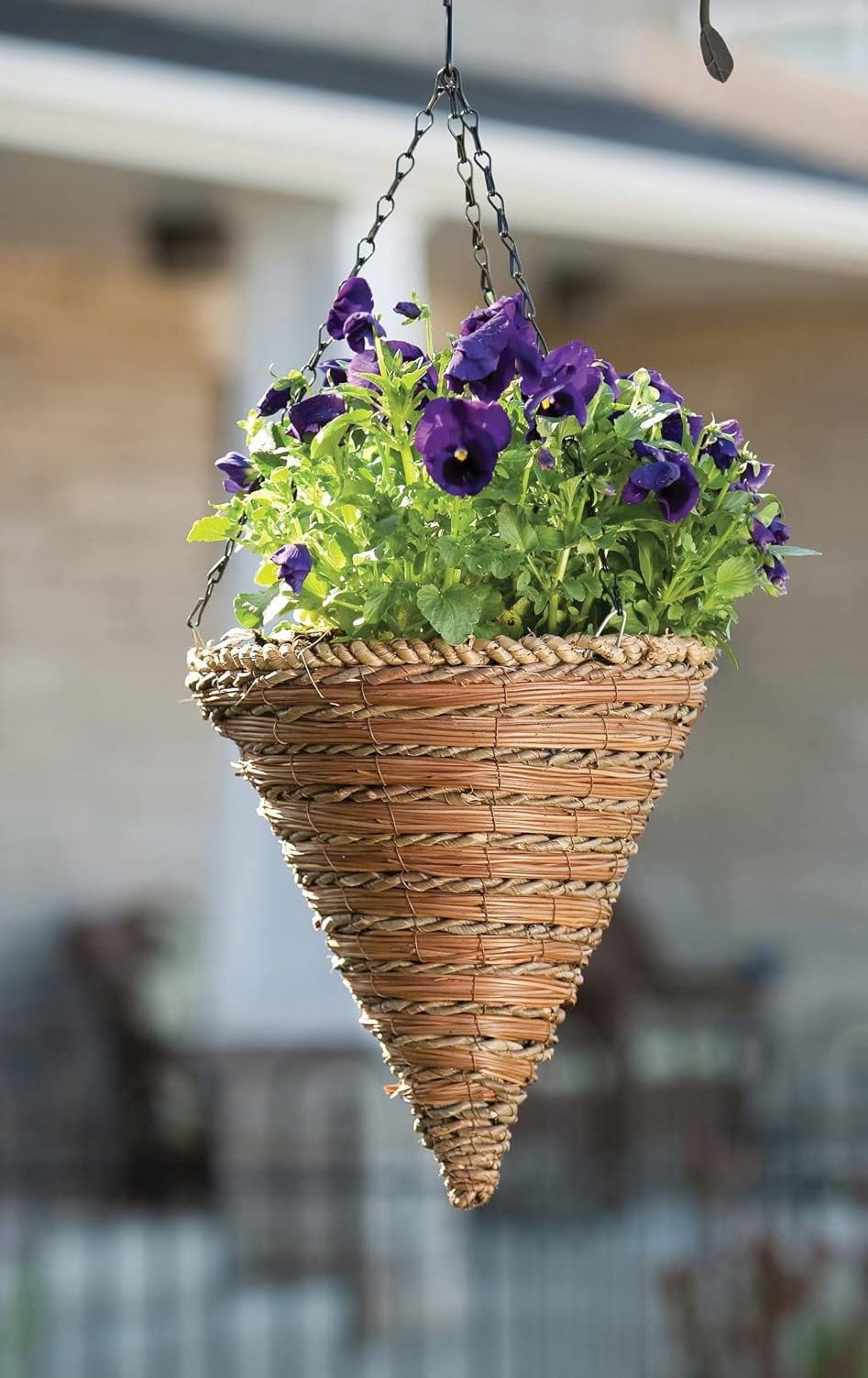 88636 12 Inch, Rope & Fern Wicker Cone Hanging Basket Planters ...