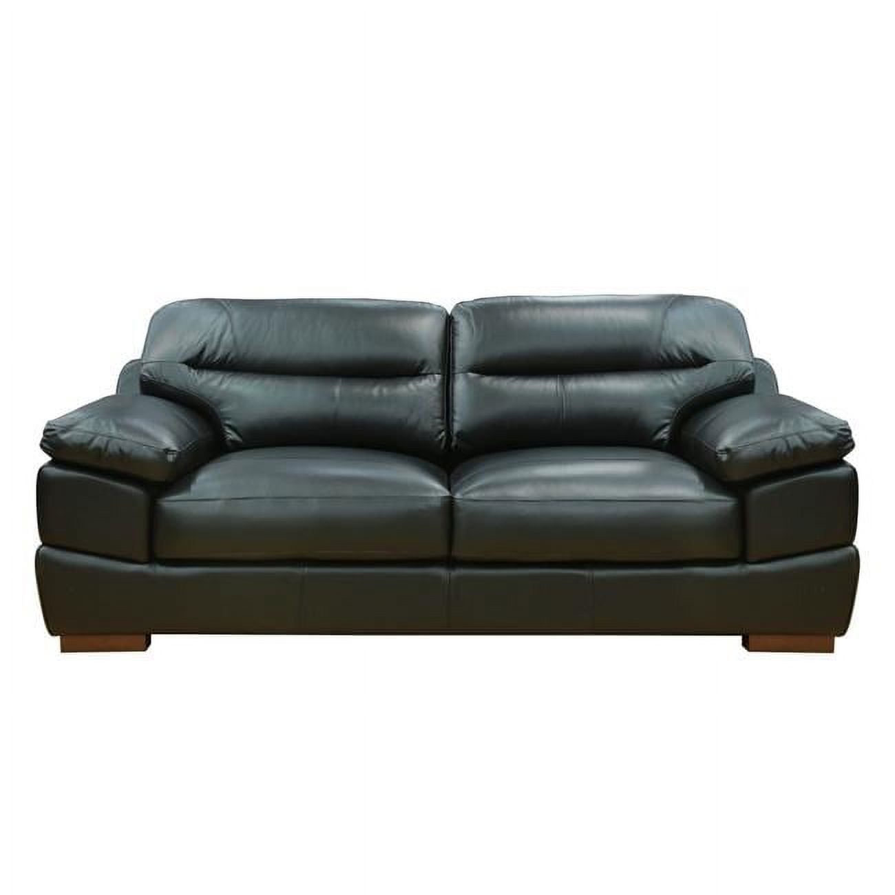 Jayson Transitional Black Top Grain Leather Sofa with Pillow-Top Arms