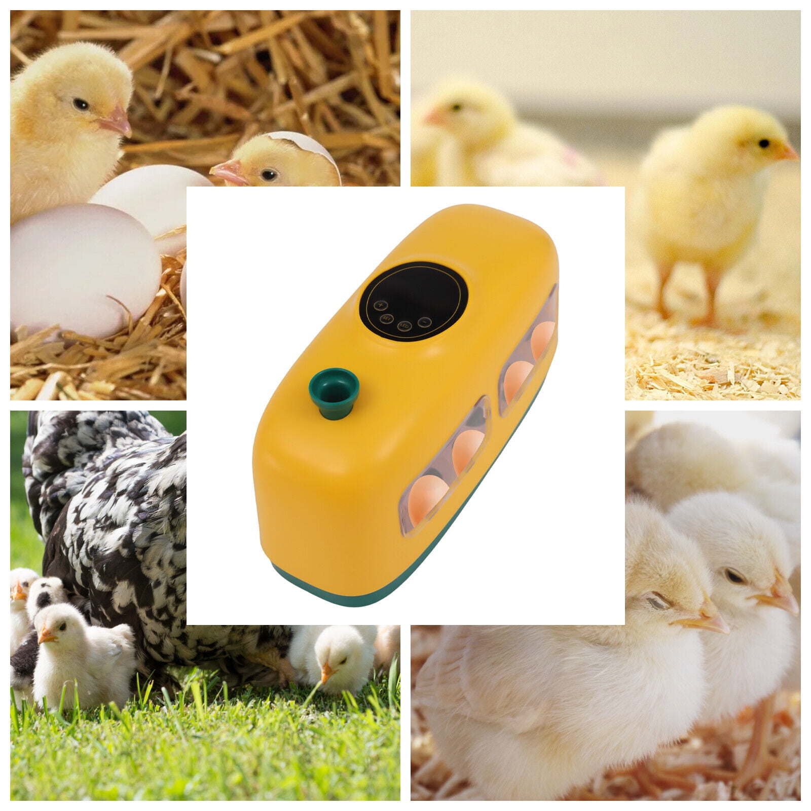 8Egg Incubator Automatic Chicken Quail Chick Hatcher Incubators for