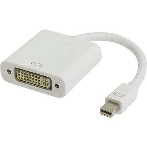 8IN MINI DISPLAYPORT MALE TO DVI FEMALE ADAPTER CONVERTER WHITE
